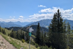 PXL_20250513_093539566