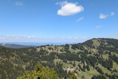 PXL_20250513_093550418