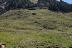 PXL_20250513_100511487