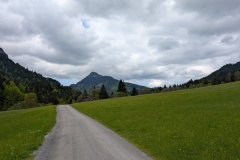 PXL_20250512_085047607