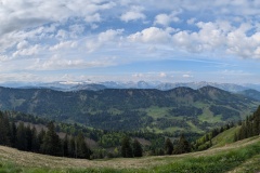 PXL_20250515_064212799.PANO_