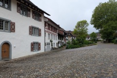 PXL_20250521_072602077