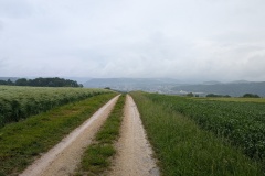 PXL_20250522_080443775