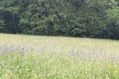 PXL_20250522_103343088