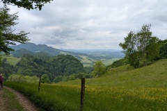 PXL_20250523_100849913
