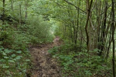 PXL_20250524_090835406