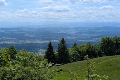 PXL_20250524_101712709