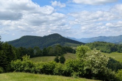 PXL_20250524_103140608