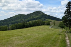 PXL_20250524_104331111