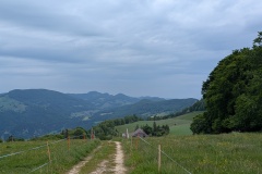 PXL_20250525_090333598