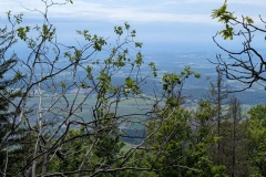 PXL_20250525_092724894