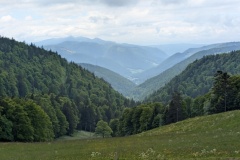PXL_20250526_120815650