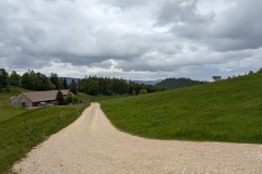 PXL_20250527_092758922