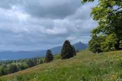 PXL_20250527_102931758