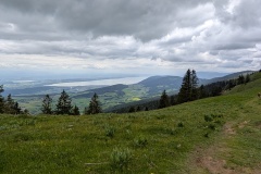 PXL_20250527_130452501