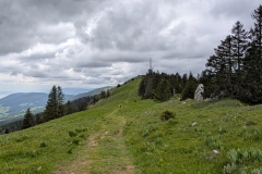 PXL_20250527_130457729