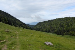 PXL_20250528_071531979
