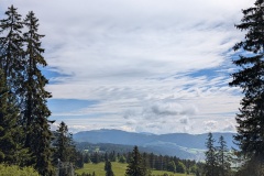 PXL_20250529_084044323