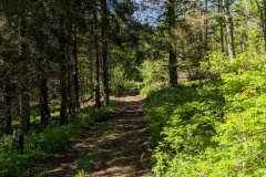PXL_20250529_085558270