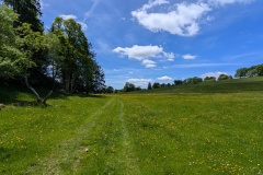 PXL_20250529_112313190