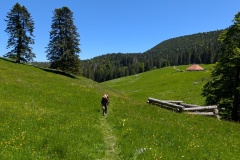 PXL_20250530_110803503