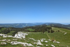PXL_20250530_134712271