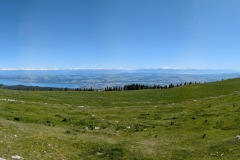 original_7349000b-b304-44a6-bdad-2c0b212ece16_PXL_20250530_132429324.PANO_