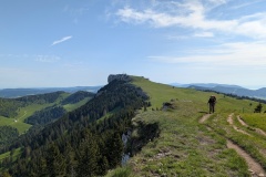PXL_20250531_072652333