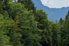 PXL_20250531_133227060