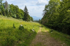 PXL_20250601_100652250