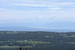 PXL_20250601_111148410