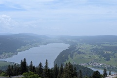 PXL_20250601_111442679