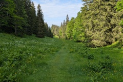 PXL_20250603_070203388
