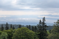 PXL_20250603_081429423