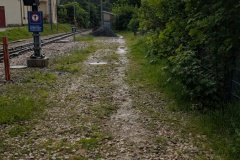 PXL_20250604_065538236