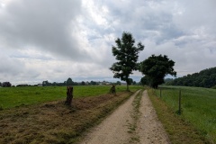 PXL_20250604_081815839
